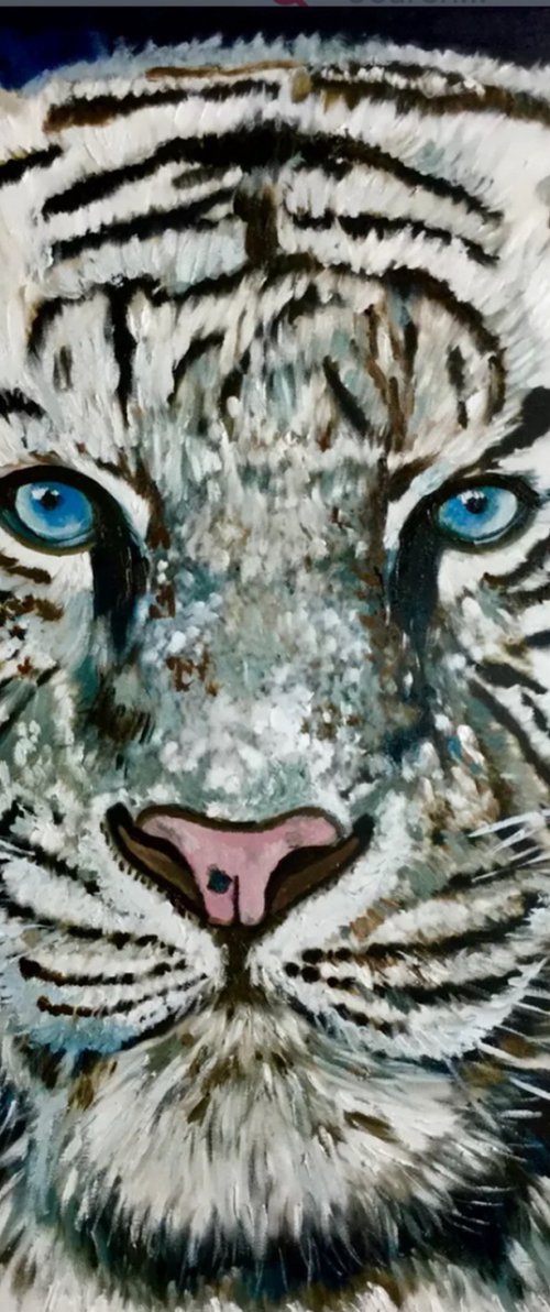 White tiger by Olga Koval