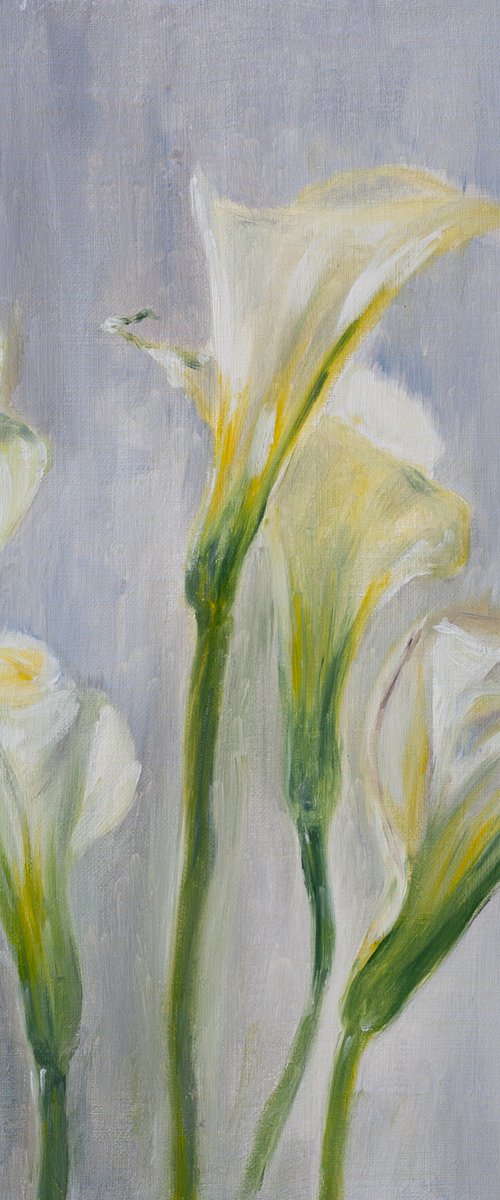 Gentle Calla Lilies by Liudmila Pisliakova