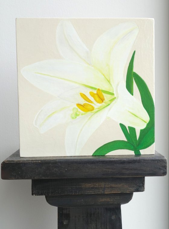 White Lily