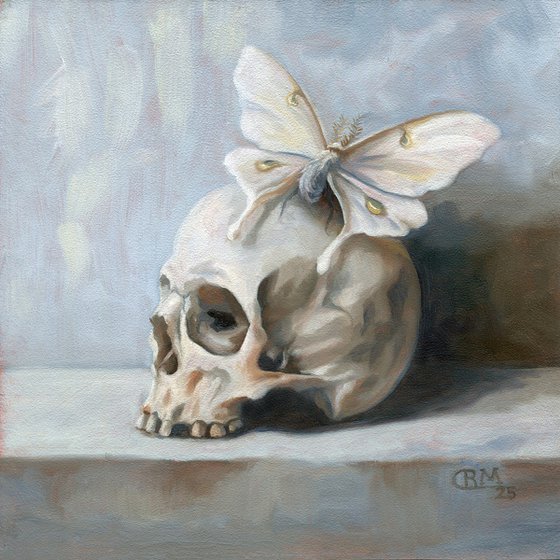 Moth and Bone: Study on White