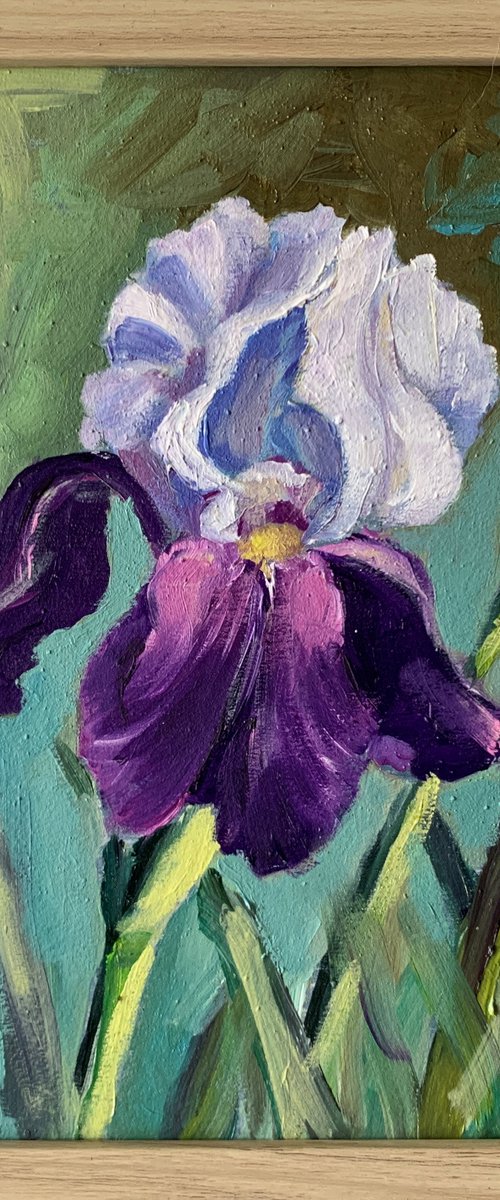 Iris.Flower. by Vita Schagen