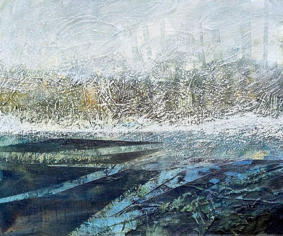SNOW COMING TO THE MARSH