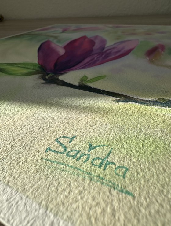 Blooming Pink Magnolia