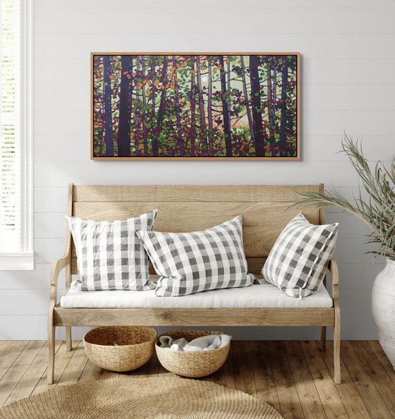 Light Through the Woods