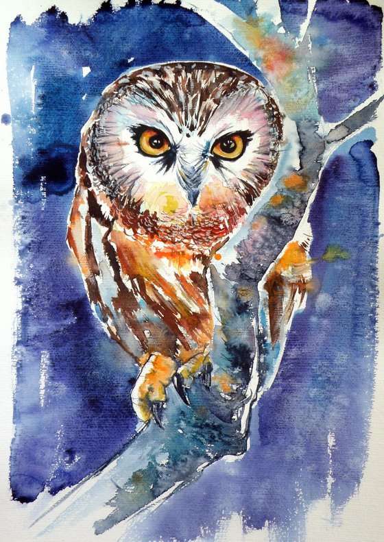 Owl at night