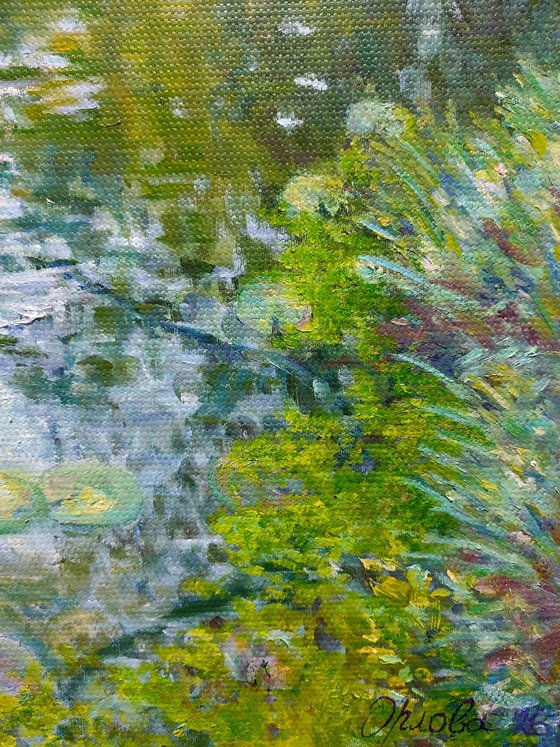 Where the Light settles