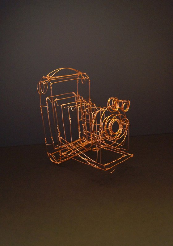 Kodak Camera Wire Sculpture