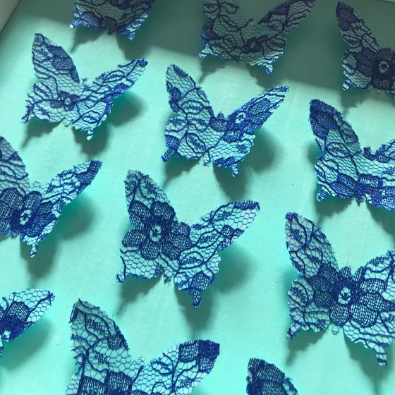 Box of beauties (Blue Lace)