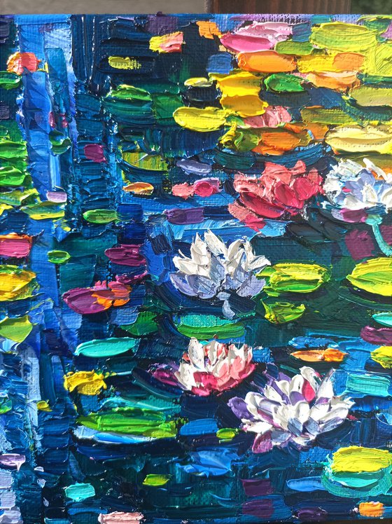 Water lilies reflections