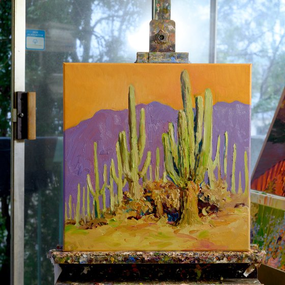 Saguaro. Desert Evening