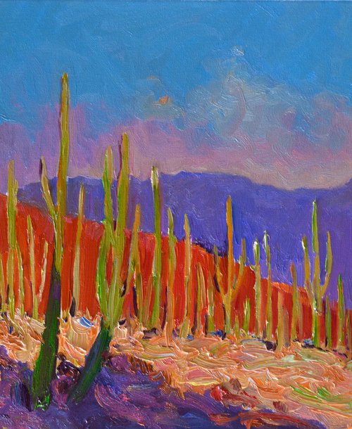 Before the Evening. Saguaros by Suren Nersisyan