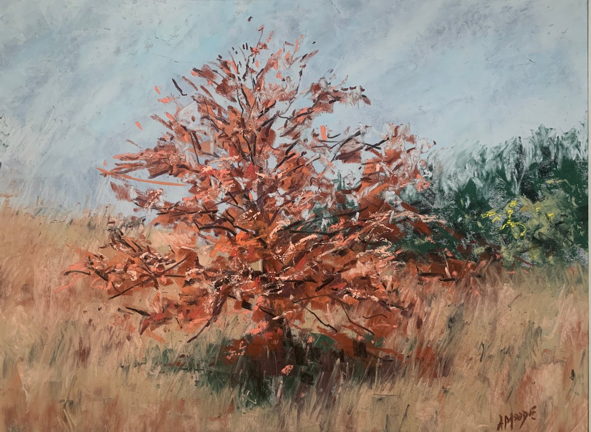 Impressionistic Landscape Pastel Drawing By Andrew Moodie, 16 X 12, Autumn Field, Original Artwork