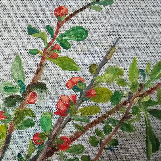 Spring