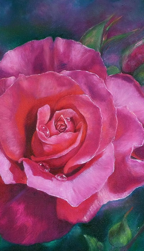 Rose. Pink rose. by Anastasia Woron