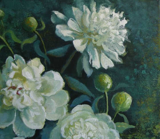 Peonies