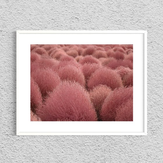 RED TUFTS