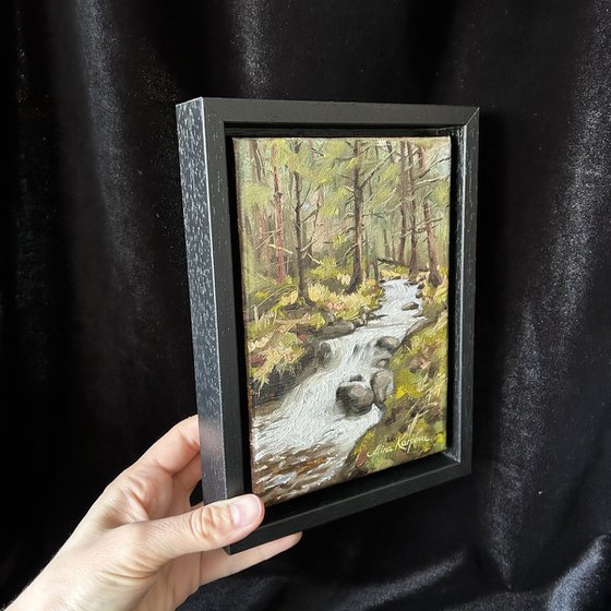 Forest falls