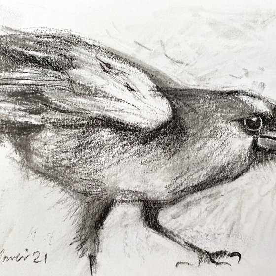 Charcoal Raven #05