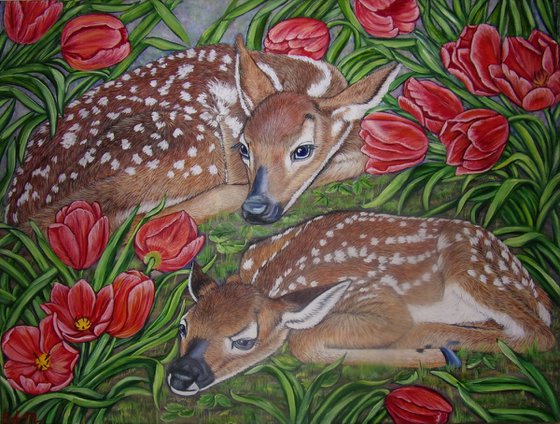 White-tailed deer fawns among Red Tulips