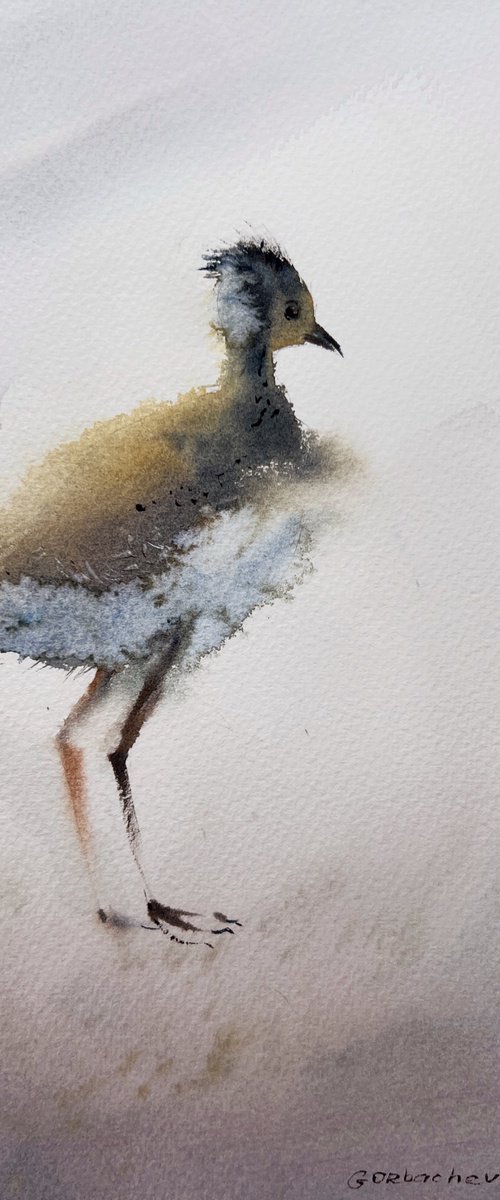 Lapwing by Eugenia Gorbacheva