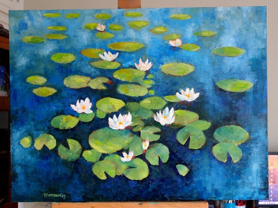 Water Lilies