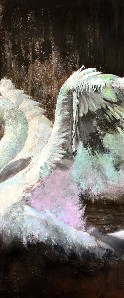 Measured Grace by Paul Hardern