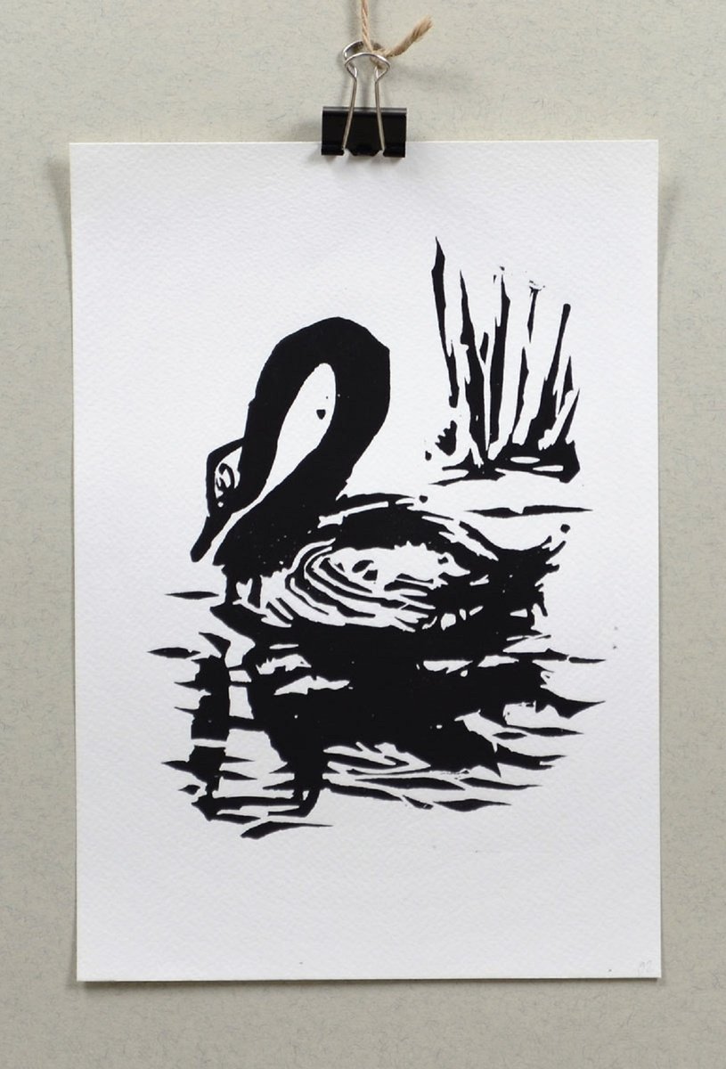 Graphic Animal Linocut By Marin Victor, 7 X 10", Black Swan, Original Artwork