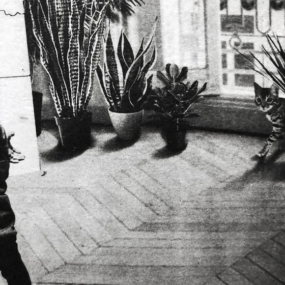 Interior No.135: The Plagiarist