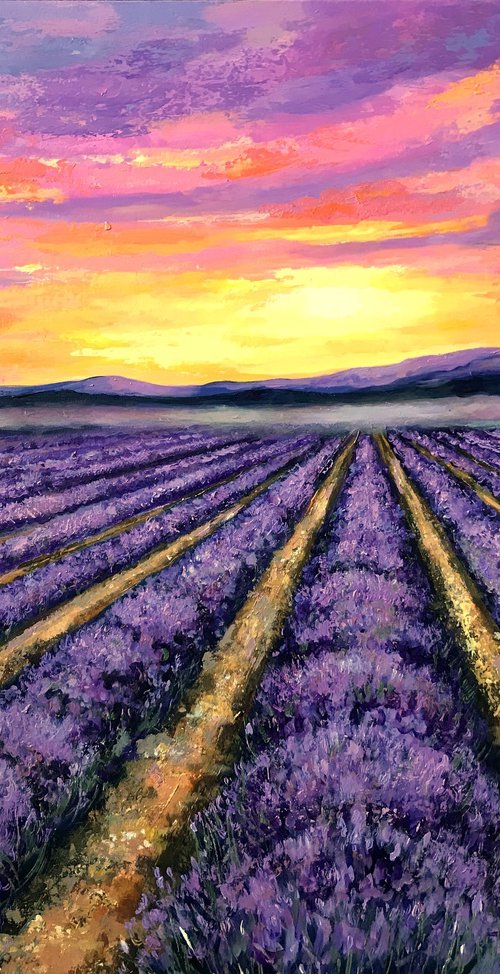 Sunrise over Lavender by Colette Baumback