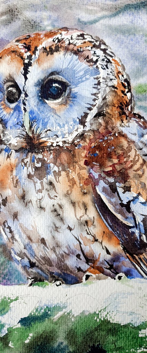 Mysterious owl gaze by Natasha Sokolnikova Watercolour Artist