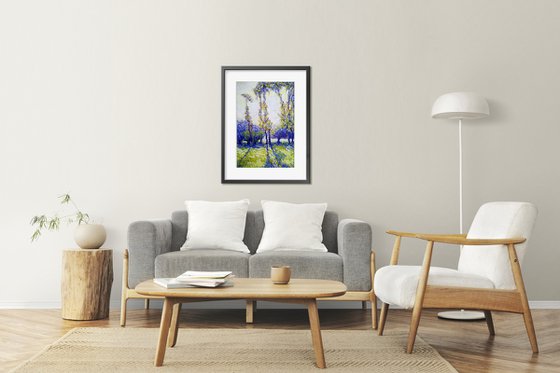 Poplars in the morning sun