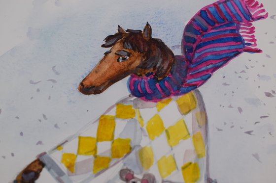 The horse in the coat