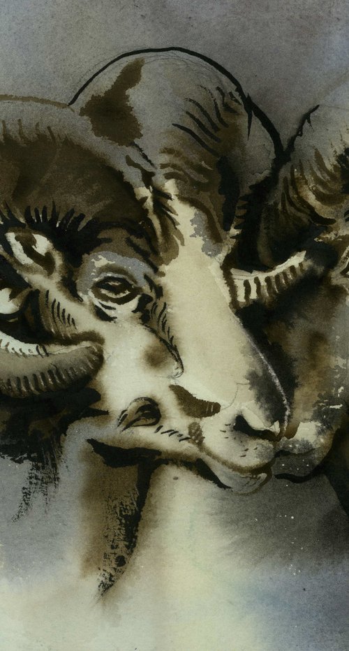 Two rams watercolor by Alfred  Ng