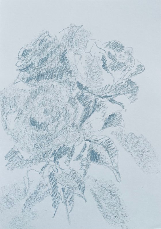 Roses #12. Original pencil drawing