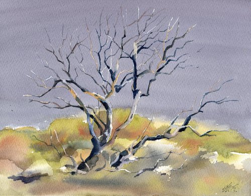 Desert tree in watercolor Arizona nature by Yulia Evsyukova