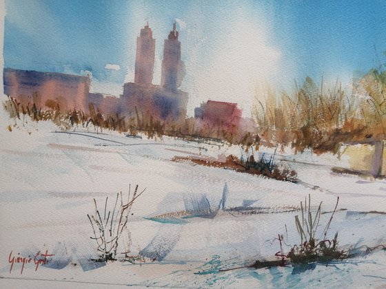 Central Park 3