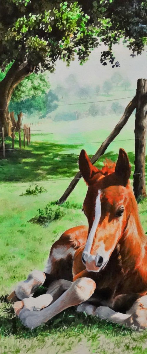 Spring Foal by Julian Wheat