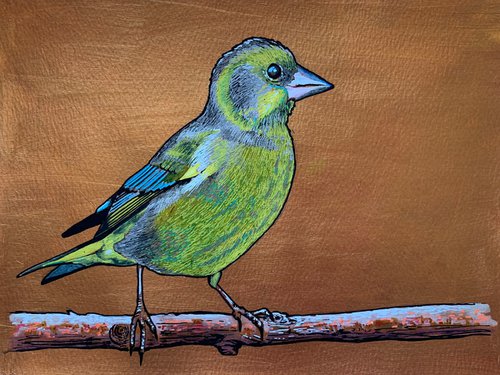 British Garden Birds series - Green finch by Karen Elaine  Evans