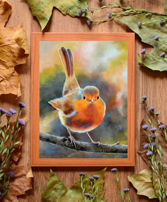 Little robin bird on a branch