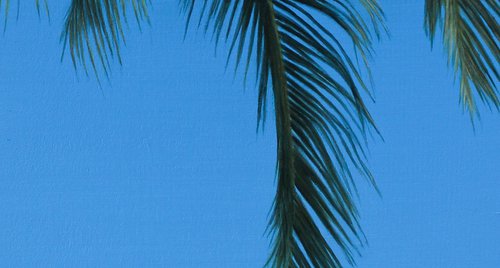 Artwork by Faisal Warsani