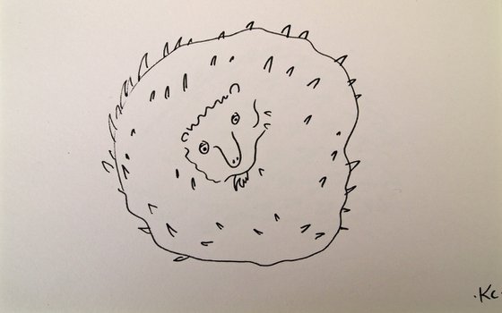 Hedgehog 4