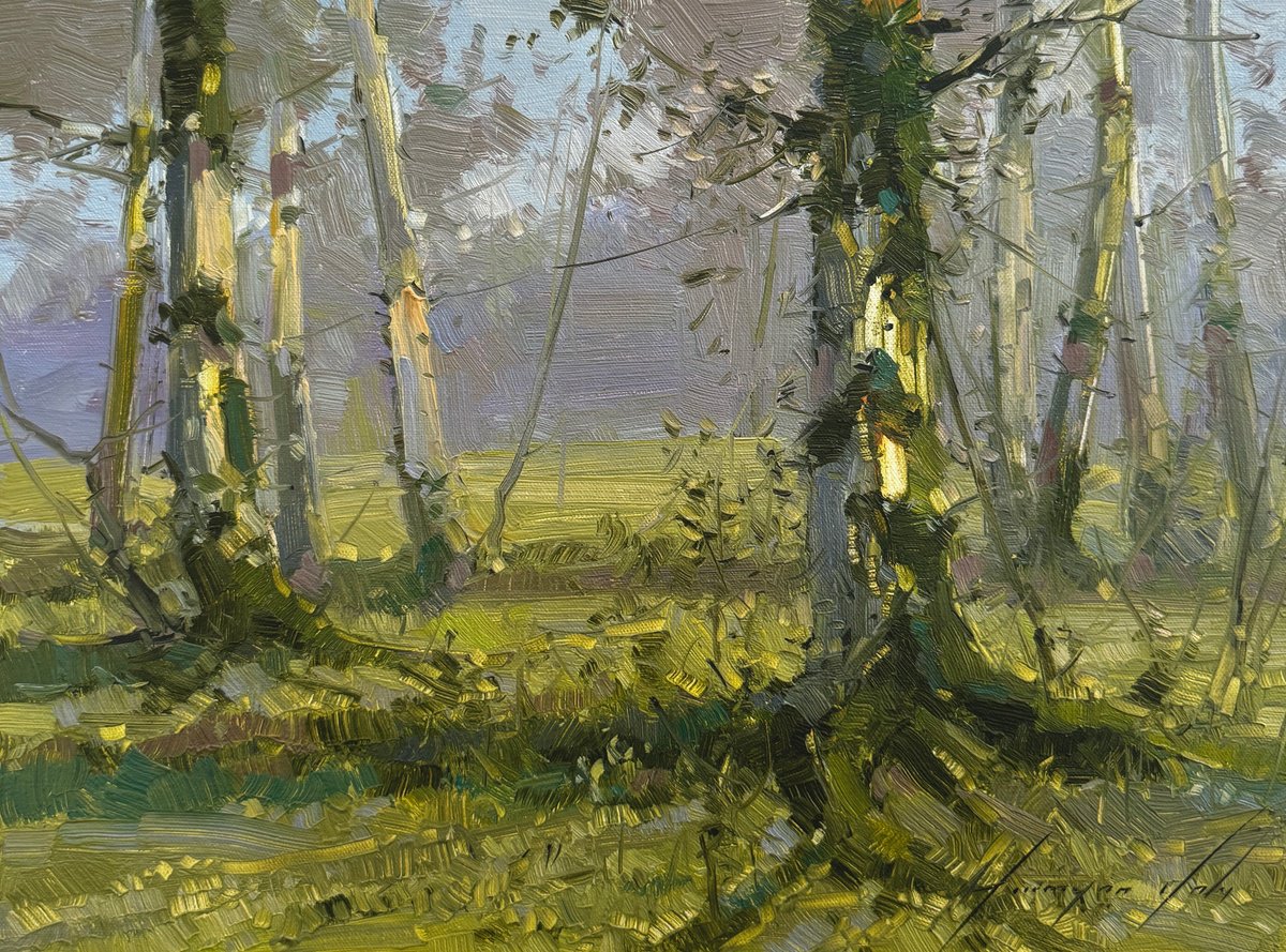 Impressionistic Landscape Oil Painting By Vahe Yeremyan, 16 X 12", Spring Trees, Original Artwork