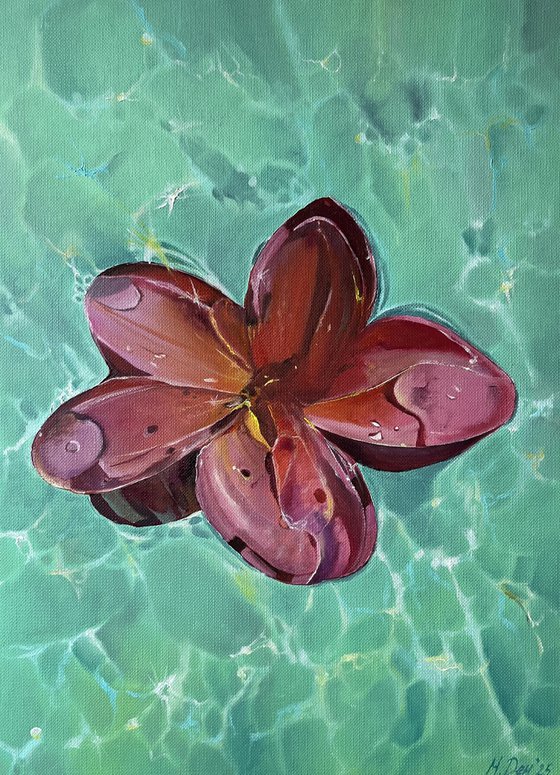 Hibiscus Turquoise Water