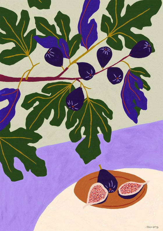 Fig tree