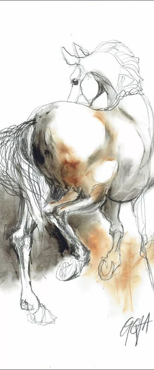 HORSE by Nicolas GOIA