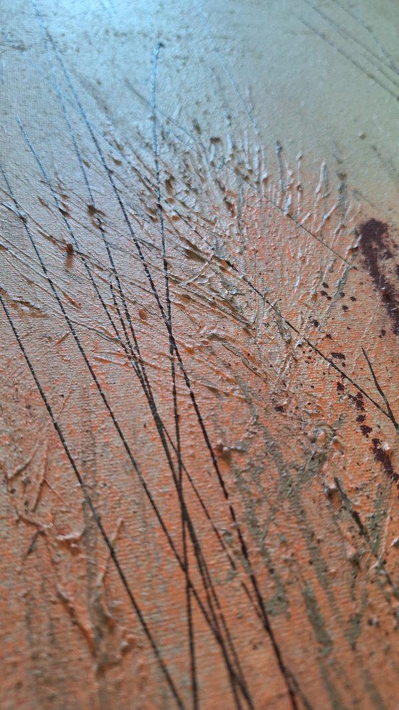 Where Earth Meets Sky