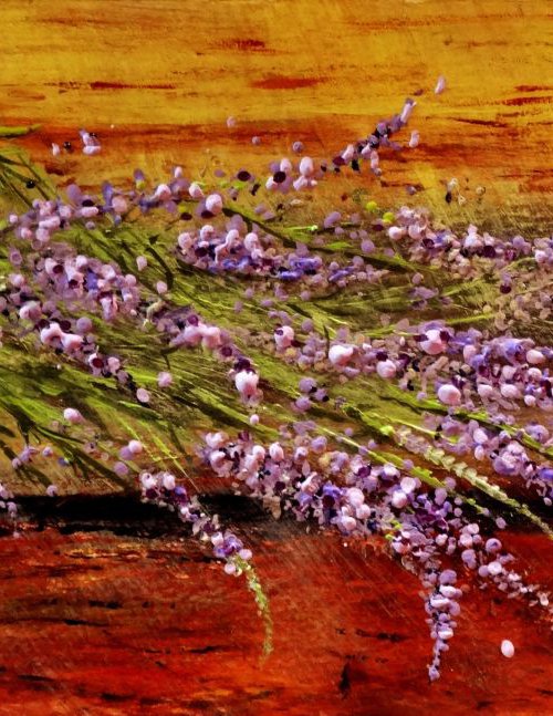 Scent of lavender.. by Cristina Mihailescu