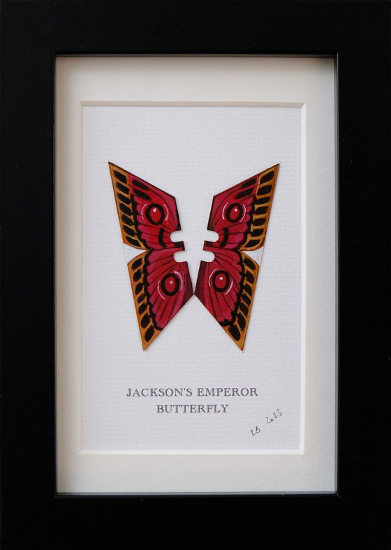 Jackson's Emperor Butterfly