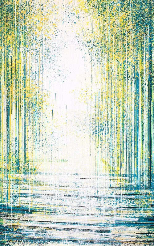 Light Falling Through Summer Forest by Marc Todd