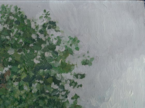 Bush